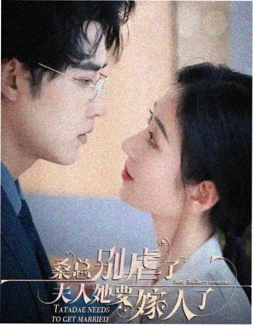 无声证词 律政悬疑剧集海报